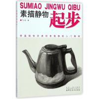 正版书籍 素描静物起步 9787518047222 中国纺织出版社