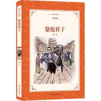 正版书籍 译林名著精选：骆驼祥子(华文经典) 9787544762786 译林出版社