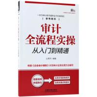 正版书籍 审计全流程实操从入门到精通 9787113245474 中国铁道出版社