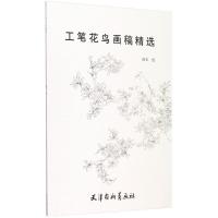 正版书籍 工笔花鸟画稿精选 9787554707593 天津杨柳青出版社