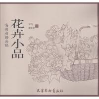 正版书籍 花卉小品/实用白描画稿 9787554707388 杨柳青出版社