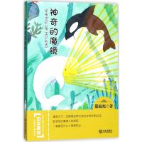 正版书籍 中华原创幻想儿童文学大系：神奇的魔镜 9787550511484 大连出版