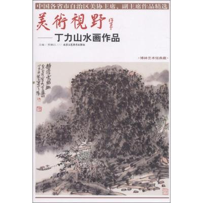 正版书籍 美术视野：丁力山水画作品(博林艺术馆典藏)/中国各省市自治区美