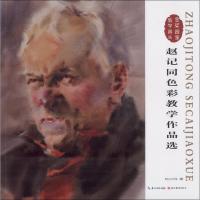 正版书籍 赵记同色彩教学作品选/金奖画家教学画丛 9787539493565 湖北美术