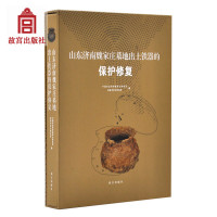 正版书籍 山东济南魏家庄墓地出土铁器的保护修复 9787513411196 故宫出版
