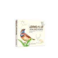 正版书籍 动物绘生活：38种动物色铅笔图绘 9787122323088 化学工业出版社