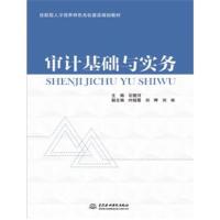 正版书籍 审计基础与实务(技能型人才培养特色名校建设规划教材) 978751706