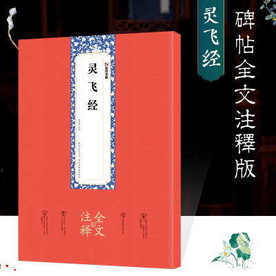 正版书籍 墨点字帖：灵飞经全文注释版楷书碑帖毛笔书法字帖 9787539494890