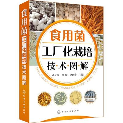 正版书籍 食用菌工厂化栽培技术图解 9787122315892 化学工业出版社