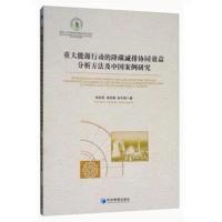 正版书籍 重大能源行动的降碳减排协同效益分析方法及中国案例研究 9787509