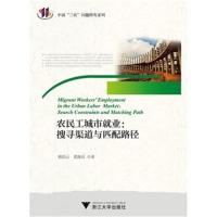 正版书籍 农民工城市就业:搜寻渠道与匹配路径 中国“三农”问题研究文丛