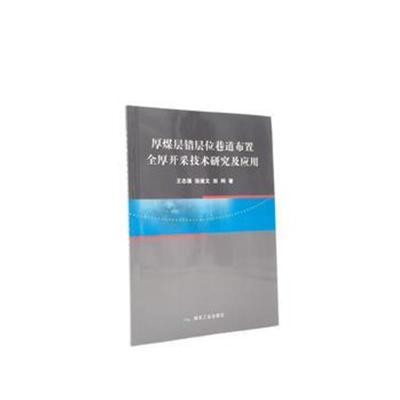 正版书籍 厚煤层错层位巷道布置全厚开采技术研究及应用 9787502065287 煤