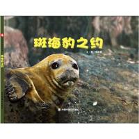 正版书籍 中国原创图画书：斑海豹之约 9787507226539 中国中福出版社