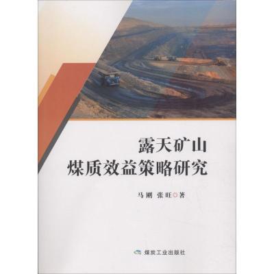 正版书籍 露天矿山煤质效益策略研究 9787502059842 煤炭工业出版社