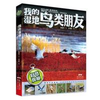 正版书籍 自然观察: 我的湿地鸟类朋友 9787558311956 新世纪出版社
