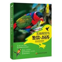 正版书籍 美丽观赏鸟鉴赏与饲养 9787538898613 黑龙江科学技术出版社