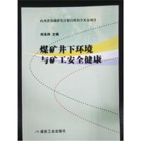 正版书籍 煤矿井下环境与矿工安全健康 9787502065348 煤炭工业出版社