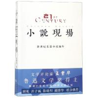 正版书籍 小说现场——新世纪长篇小说编年 9787100167055 商务印书馆