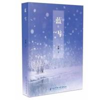 正版书籍 蓝雪 9787564758585 电子科技大学出版社