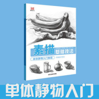 正版书籍 素描基础技法 单体静物入门教程 9787514016529 北京工艺美术出版