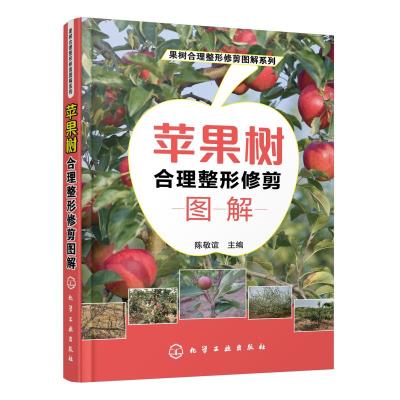 正版书籍 果树合理整形修剪图解系列--苹果树合理整形修剪图解 97871223295