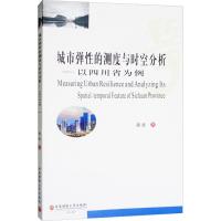 正版书籍 城市弹性的测度与时空分析：以四川省为例 9787550435728 西南财