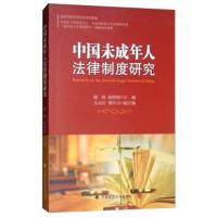 正版书籍 中国未成年人法律制度研究 9787562085959 中国政法大学出版社