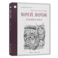 正版书籍 西方经典美术技法译丛——如何看，如何画：铅笔素描写实技法 978