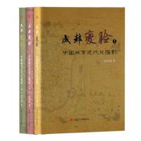 正版书籍 成都“变脸”——中国城市近代化缩影(上中下) 9787564363628 西