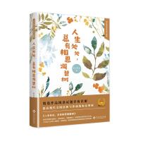 正版书籍 人生处处，总有相思凋碧树 9787514224658 文化发展出版社