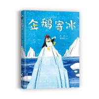 正版书籍 企鹅寄冰 9787559710826 浙江少年儿童出版社