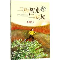 正版书籍 三月的阳光三月的风/盛世中国原创儿童文学大系 9787541490019 晨