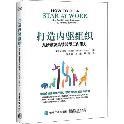 正版书籍 打造内驱组织：九步激发高绩效员工内驱力 9787121349331 电子工