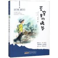 正版书籍 菜窖里的姥爷/薛涛大地星空系列 9787570701339 安徽少年儿童出版