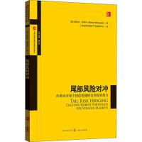 正版书籍 尾部风险对冲——在波动市场中创造稳健的证券投资组合 978754322