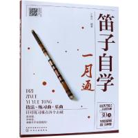正版书籍 笛子自学一月通 9787122325174 化学工业出版社