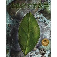 正版书籍 绘本花园：小达尔文的故事(精)(新版) 9787556071838 长江少年儿