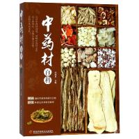 正版书籍 中药材百科 9787538892062 黑龙江科学技术出版社