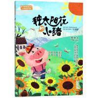正版书籍 种太阳花的小猪(注音版)/翌平新阳刚主义少年成长书系 9787555268