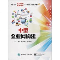 正版书籍 中型企业网构建 9787121345173 电子工业出版社