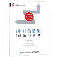 正版书籍 审计信息化理论与实务 9787121305733 电子工业出版社