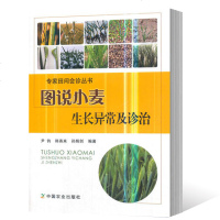 正版书籍 图说小麦生长异常及诊治 9787109241299 中国农业出版社