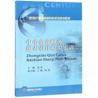 正版书籍 中小企业财务报表审核模拟实训/21世纪普通高等院校系列规划教材