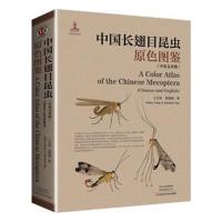 正版书籍 中国长翅目昆虫原色图鉴 9787534993763 河南科学技术出版社