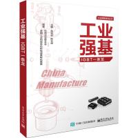 正版书籍 工业强基IGBT一条龙 9787121341670 电子工业出版社