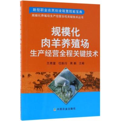 正版书籍 规模化肉羊养殖场生产经营全程关键技术 9787109243293 中国农业