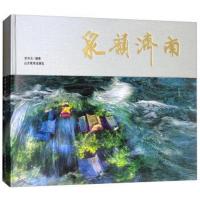 正版书籍 泉韵济南 733个天然泉 李华文摄济南名泉 艺术欣赏收藏 每个泉配