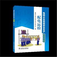 正版书籍 电网企业班组安全生产百问百答 配电运检 9787519822453 中国电力