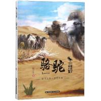 正版书籍 中国当代儿童文学 动物小说十家 骆驼 9787541497933 云南出版集