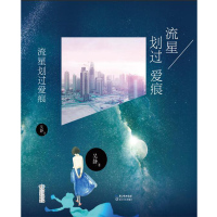 正版书籍 流星划过爱痕 9787570207756 长江文艺出版社
